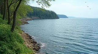 Birdwatching in the Great Lakes Region